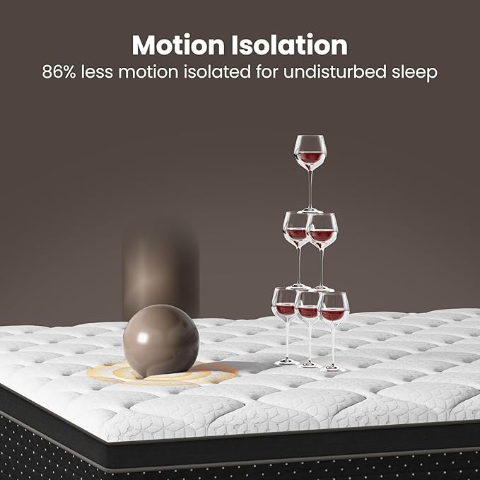 Extra Firm Queen Mattress 12 inch Premium Hybrid Mattresses in a Box with Back & Lumbar Support, Pocket Spring Bed for Motion Isolation, CertiPUR-US Certified,365 Night Trial,10 Years Warranty