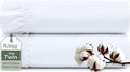 Royale Linens 100% Organic Cotton 2 Pack Fitted Sheet - Percale Weave - Super Soft Deep Pocket Bottom Sheets - White Elastic Sheet Twin Size - Twin Fitted Sheets Only - (39"x75"+15", White)
