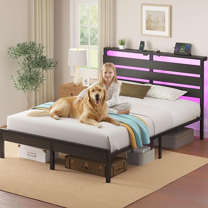 Rolanstar Bed Frame Queen Size with USB Charging Station, LED Bed Frame with Wood Storage Headboard, Black Metal Platform Bed with Under Bed Storage, No Box Spring Needed, Noise Free