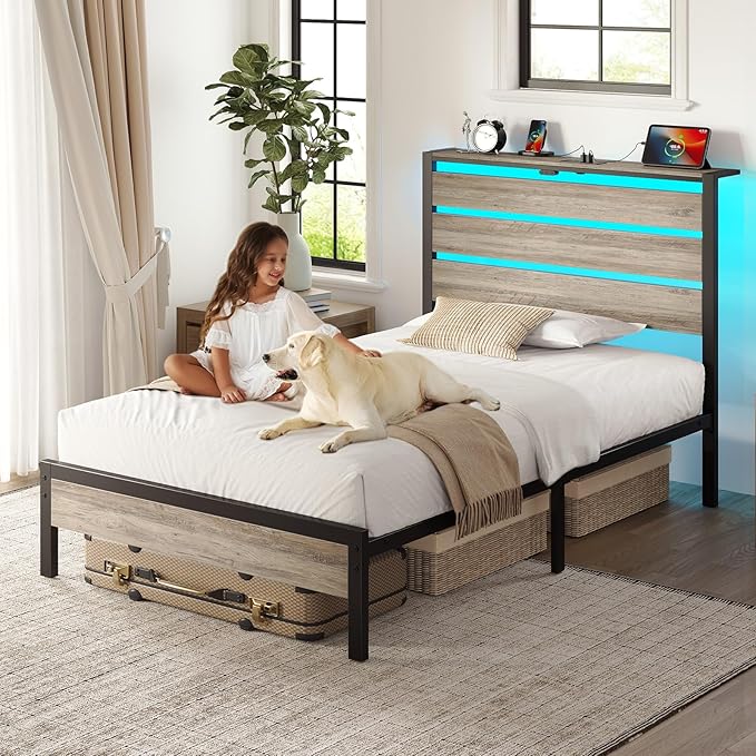 Rolanstar Twin Bed Frame with LED Lights and Charging Station, Wood Storage Headboard and Under Bed Storage, Metal Platform Bed, Easy Assembly, No Box Spring Needed, Grey