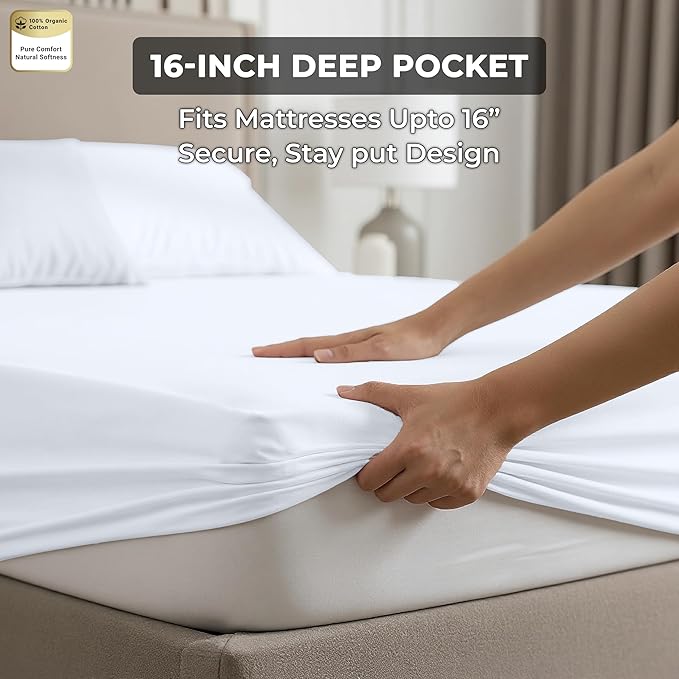 Royale Linens 100% Organic Cotton 2 Pack Fitted Sheet - Percale Weave - Super Soft Deep Pocket Bottom Sheets - White Elastic Sheet Twin XL Size - Twin XL Fitted Sheets Only - (39"x80"+15", White)
