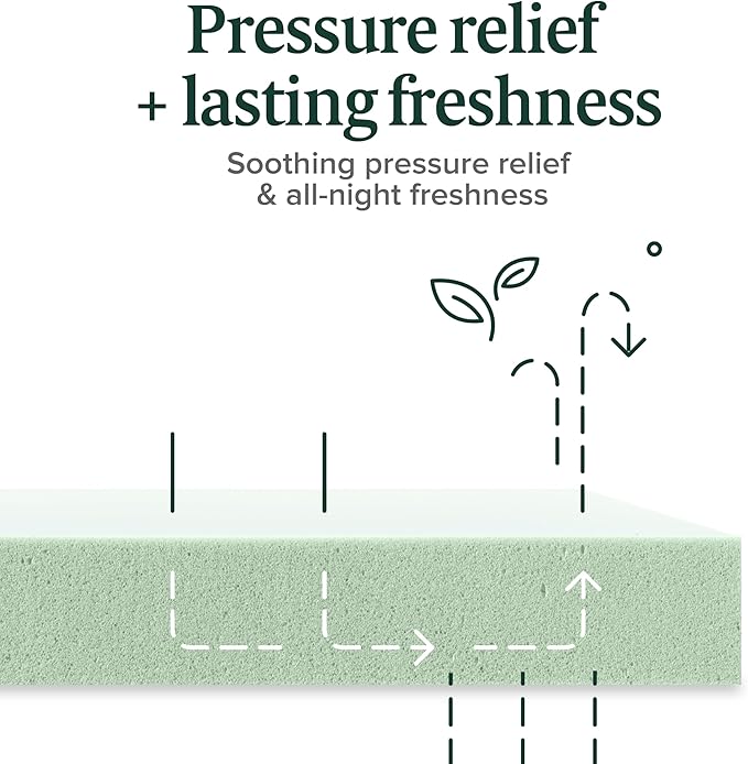 Zinus Memory Foam 10 Inch Green Tea Mattress, Queen